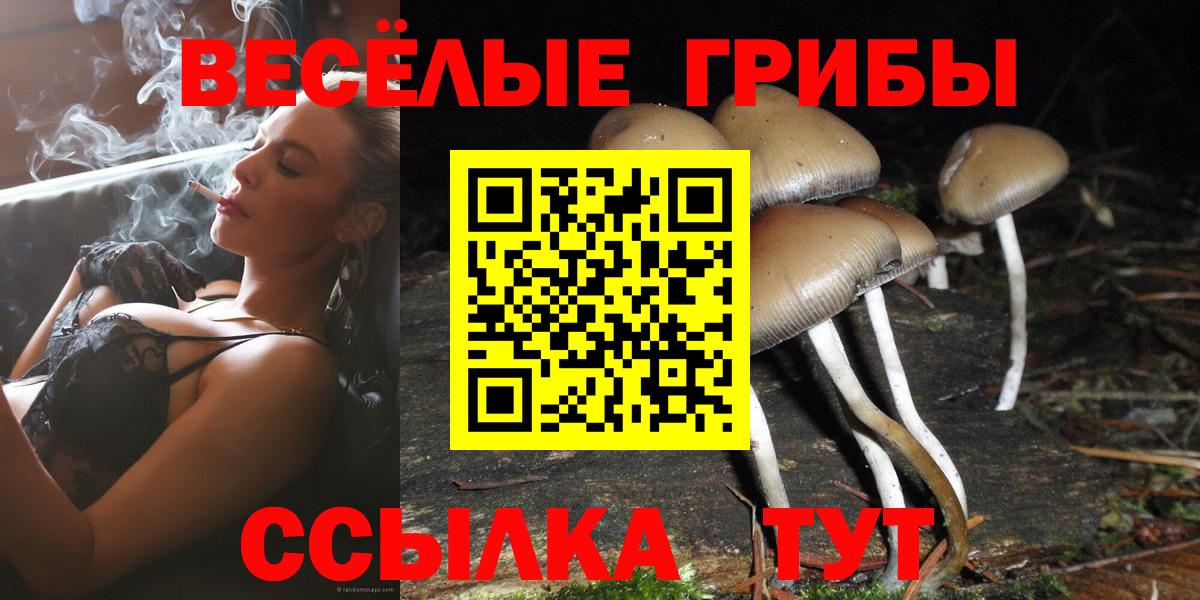 Галлюциногенные грибы Cubensis Артём